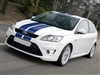 White Focus w/ Blue 8" rally Stripes Fit all Body St