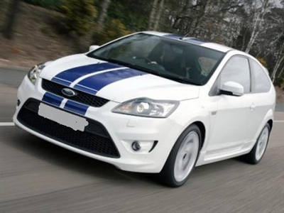 White Focus w/ Blue 8" rally Stripes Fit all Body St