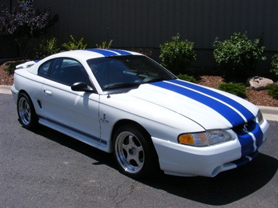 White Mustang w/ Blue 9" Rally Stripes