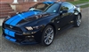 2015 Mustang 10" Twin Rally Stripes