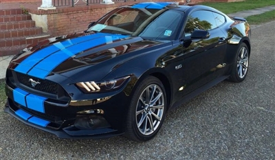 2015 Mustang 10" Twin Rally Stripes