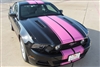2005 - 2014 Mustang 10" Twin Rally Stripes