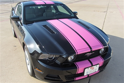 2005 - 2014 Mustang 10" Twin Rally Stripes