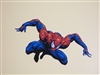 FULL COLOR Spiderman Peel and Stick Wall Decal