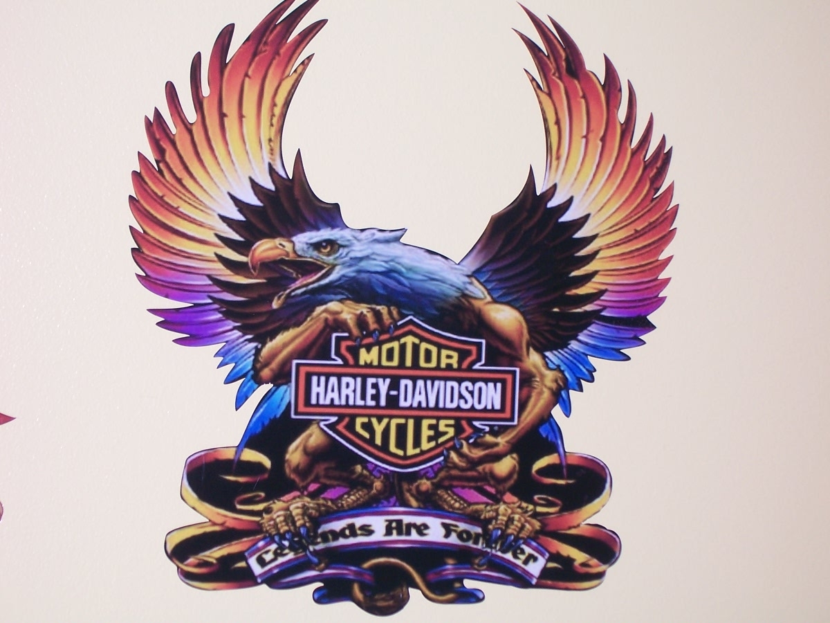 Harley Davidson Eagle Legends FULL COLOR Window 14 x 12 Decal Sticker