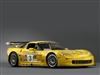 Yellow C6 Corvette Race car Wall/Trailer Decal