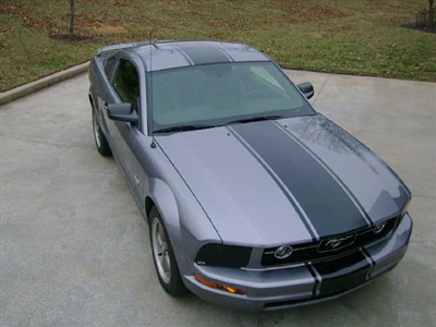 Mustang 11" Center Rally Stripes
