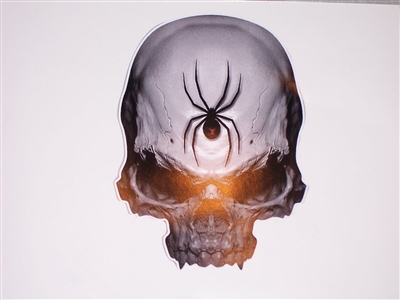 6"X8" Black Widow Skull Decal