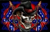 Full Color Skull Confederate Rebel Flag Wall Trailer Tailgate RV graphic Mural decal