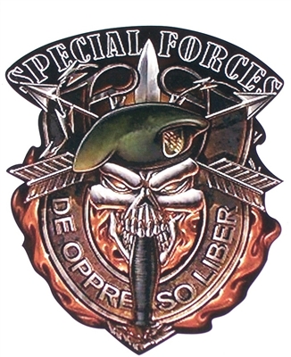 Special forces Skull  Window/Tailgate  Decal