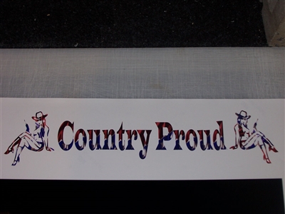 REBEL FLAG Country Proud windshield or window