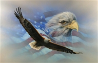 American Flag Soaring Bald Eagle Decal