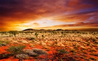 Desert Scene #2 Wall/RV Decal