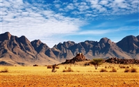 Desert Scene #5 Wall/RV Decal