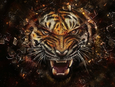 TIGER #5 Wall RV/Wall Decal