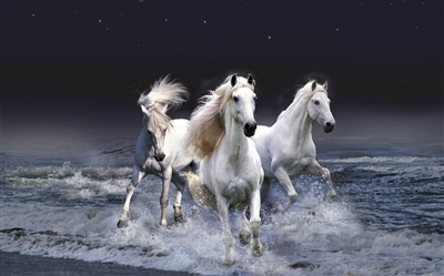 White Horse Stallion Mustang #2 RV/Wall Decal