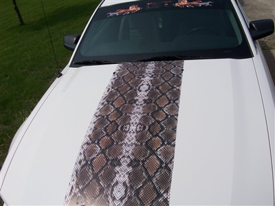 White car w/ Snake Skin rally Stripe set