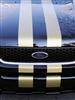 Black Ford Hood w/ Gold 5" Rally Stripes