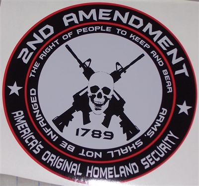 2nd Amendment Skull Decal The right to bear Arms
