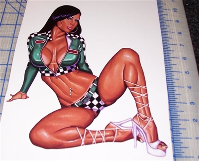 SEXY BRUNETTE RACE TRACK PINUP GIRL STICKER/VINYL DECAL 8"X10" Scott Blair