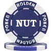 Custom Hot Stamped Blue Suited Hold'em Poker Chips