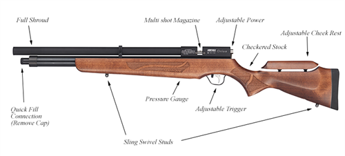 Orion PCP Air Rifle  .22