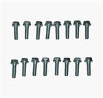 1966 - 1972 Chevelle Intake Manifold Bolts Set, Small Block, Cast Iron