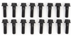 1966 - 1972 Big Block Engine Intake Manifold Bolts Set, For Cast Iron