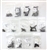 1968 - 1972 Nova Interior Trim Screw Kit, 86Pieces