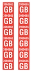 1970 Chevelle Front Coil Spring Decals, 3960665 GB Code Pair