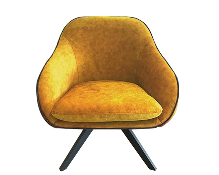 Agira Modern Lounge Chair