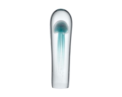 The Cay Glass Tabletop Sculpture is a long rounded cylinder of clear glass showing an inner orb of aqua blown glass reminiscent of a jellyfish surrounded by clear glass.