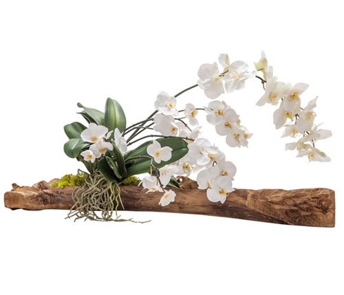 Modern Floral Arragement - White Orchid on vine