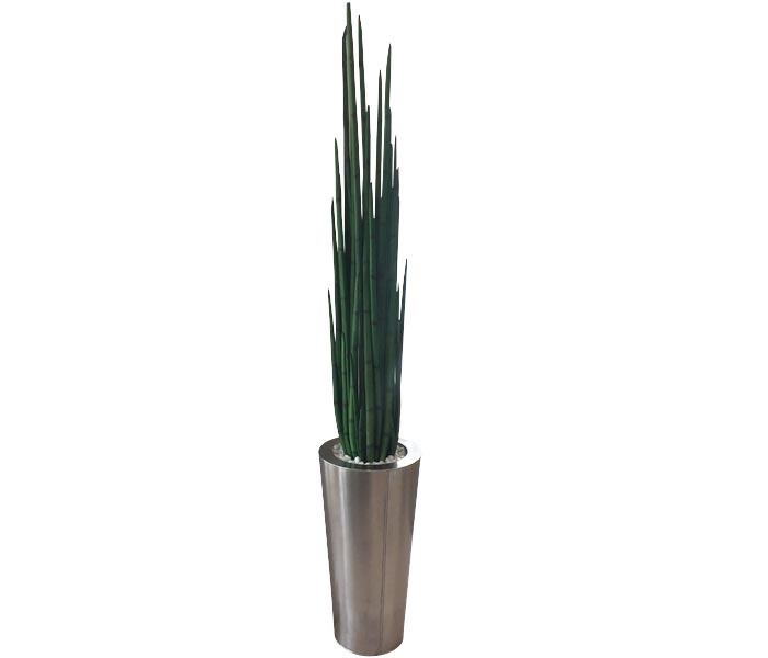 Round Chromed Tapered Planter with Snake Grass