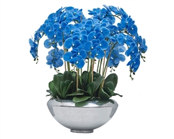 Avenue bowl with multiple stems of blue Phalaenopsis orchids - * Special Order
