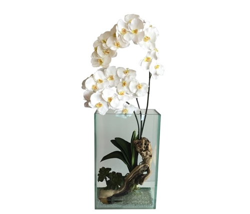 Plaza Vase Clear With Driftwood and white Vanda Orchids