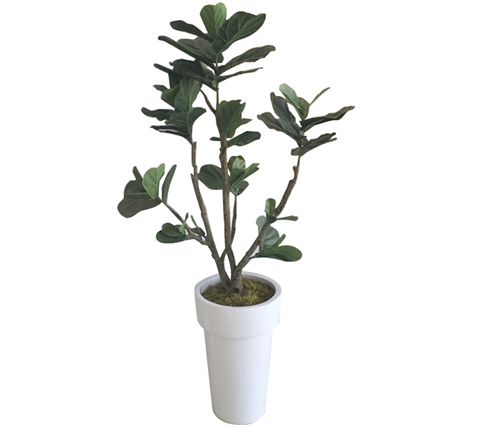 Modern Tree Arrangement with White Planter - Medium