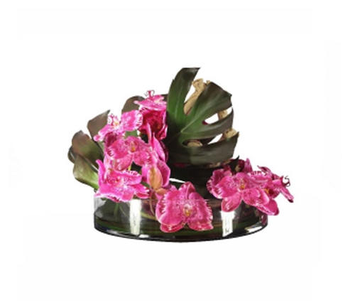 Heritage Bowl with Phylo Leafs, Driftwood and FUCHSIA Orchids 16ÄË›Äâ€šÅƒÅ›