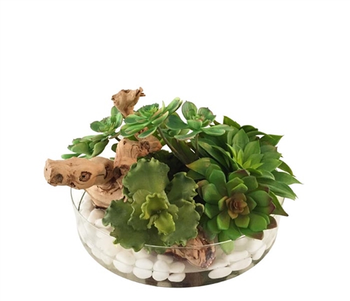 Heritage Modern Floral Succulent in Round Bowl