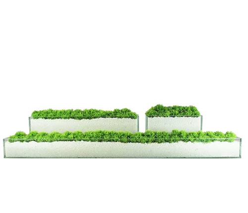 Glass Plate Modern Planter with Grass 12"