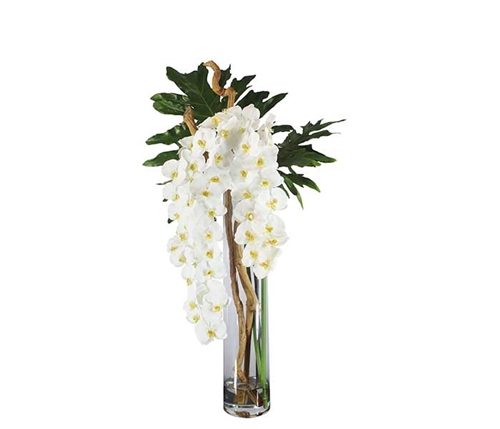 Rota Cylinder With White Orchids, Driftwood and Monstera Leaves