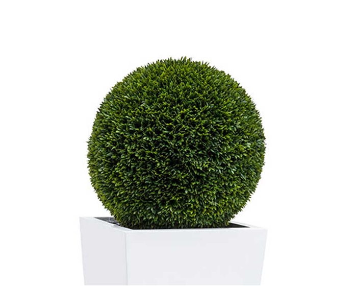 Green Topiary Balls 20"