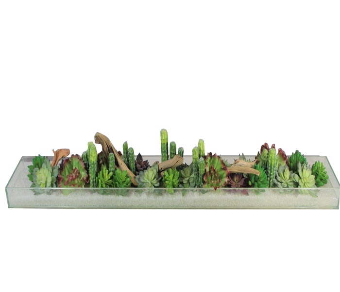 Oversized glass plate modern planter 52ÄË›Äâ€šÅƒÅ› x 6ÄË›Äâ€šÅƒÅ› x 3ÄË›Äâ€šÅƒÅ› with mixed succulents and driftwood