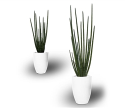 Ben Tapered Vase with Snake Grass Vase 4 Feet