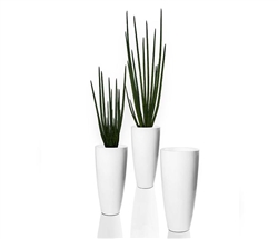 Dax Tapered Vase with Snake Grass Vase 4 Feet