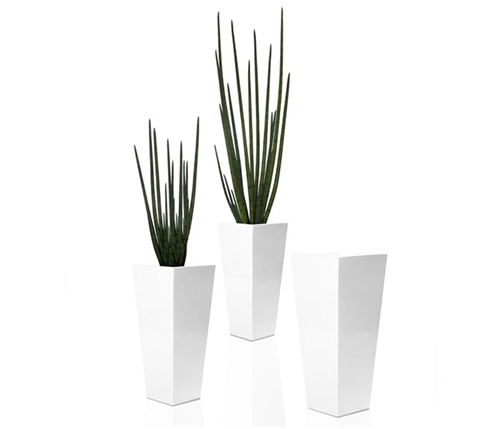 Beau Modern Vase with Snake Grass