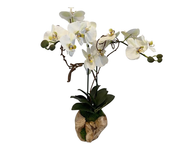 8" Orb Double Orchid