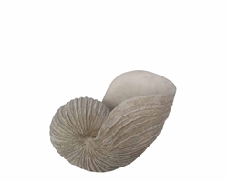 18" Shell Sculpture, Ivory