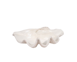 25" Pearlized Clam Shell Bowl, Ivory