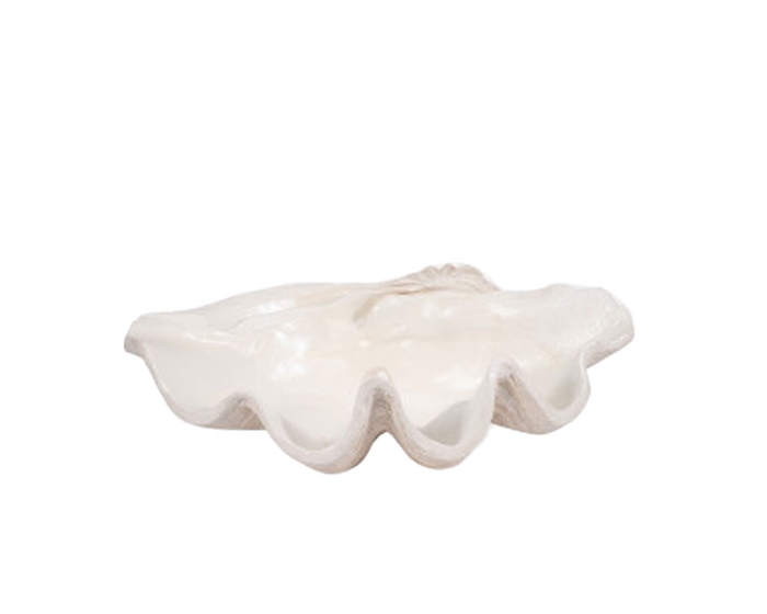 25" Pearlized Clam Shell Bowl, Ivory